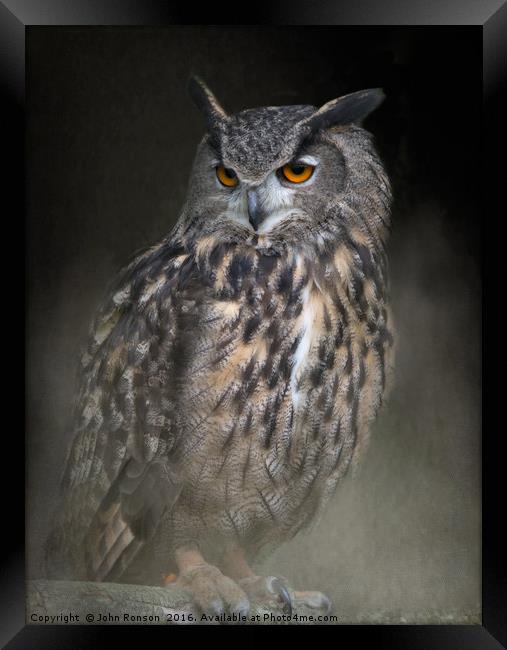Eurasian Eagle Owl Framed Print by JOHN RONSON