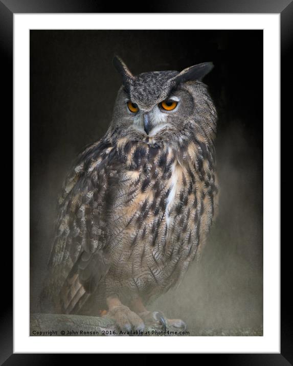 Eurasian Eagle Owl Framed Mounted Print by JOHN RONSON