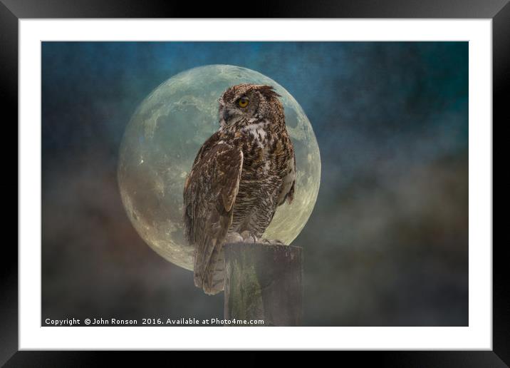 The Owl & the Moon Framed Mounted Print by JOHN RONSON