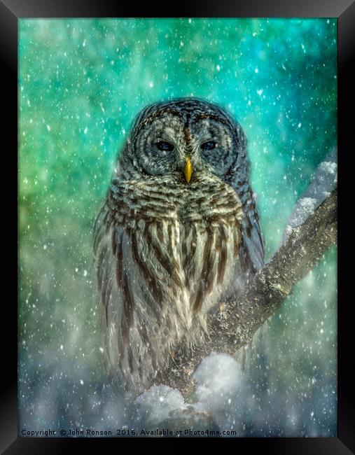 The Owl and the Storm Framed Print by JOHN RONSON