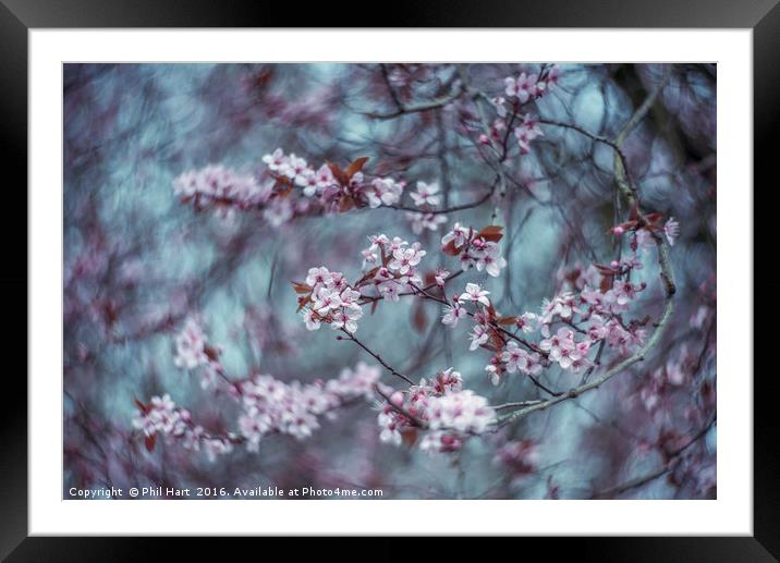 Turning into Spring Framed Mounted Print by Phil Hart