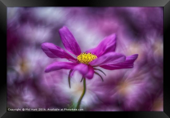 Images from a cosmic garden no1 Framed Print by Phil Hart