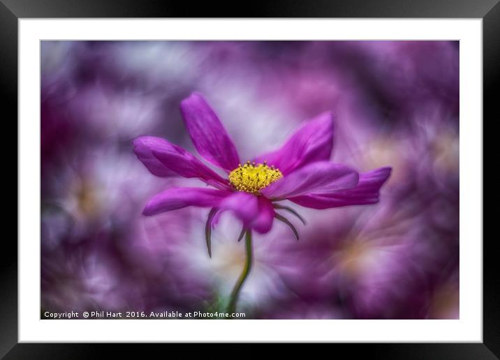 Images from a cosmic garden no1 Framed Mounted Print by Phil Hart