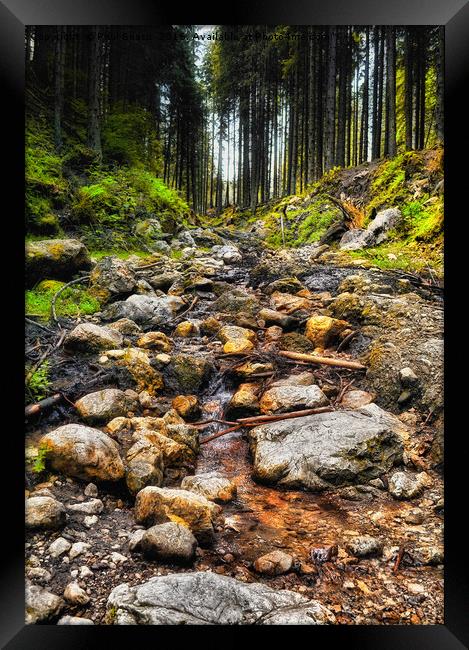 flowing stream in the forest Framed Print by Paul Boazu