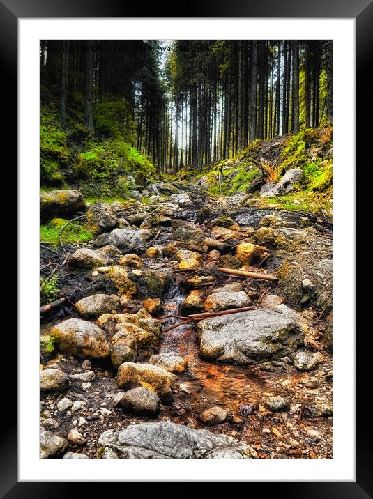 flowing stream in the forest Framed Mounted Print by Paul Boazu