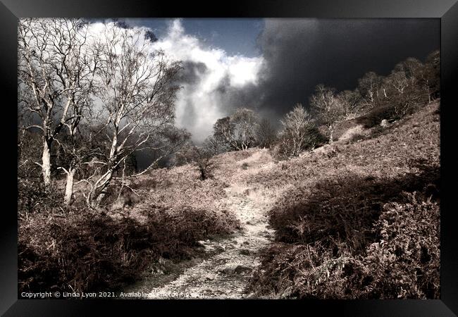 Infrared Borrowdale Framed Print by Linda Lyon