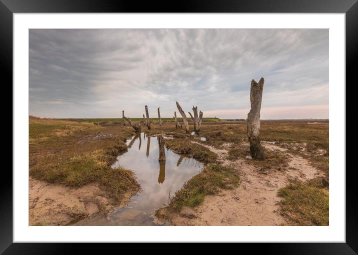 Old timber posts Thornham Norfolk at low tide.  Framed Mounted Print by Graeme Taplin Landscape Photography