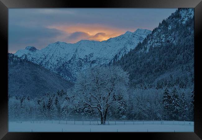 Winter's Dawn Framed Print by John Iddles