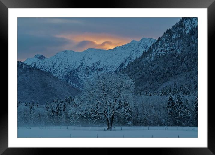 Winter's Dawn Framed Mounted Print by John Iddles