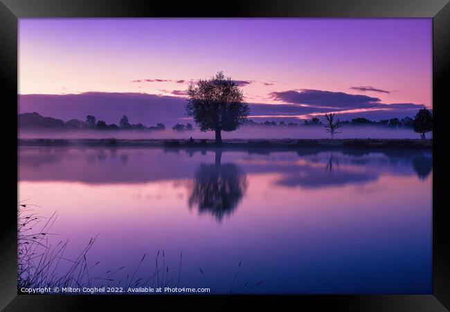 Purple sunrise in Bushy Park Framed Print by Milton Cogheil