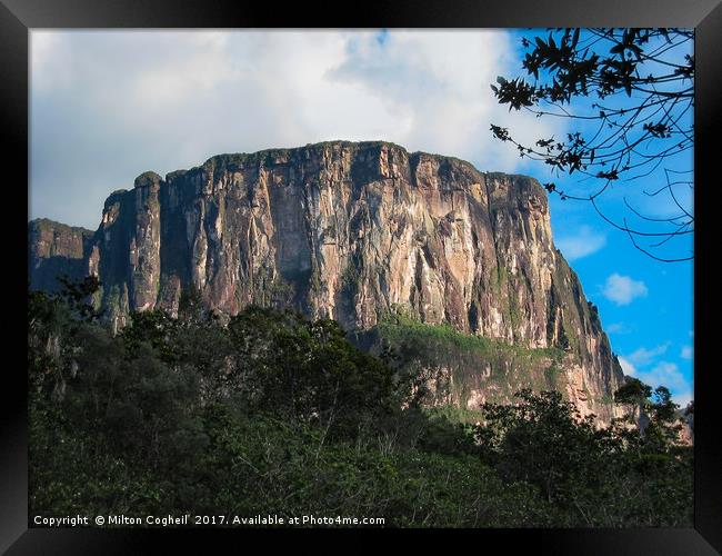 Tepui Framed Print by Milton Cogheil