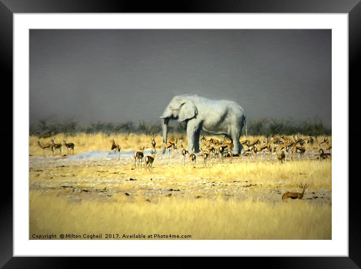 King of the Desert - Digital Art Framed Mounted Print by Milton Cogheil