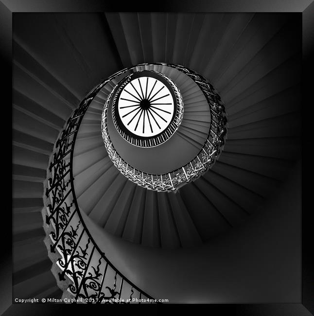 The Tulip Spiral Stairs - Dark Framed Print by Milton Cogheil