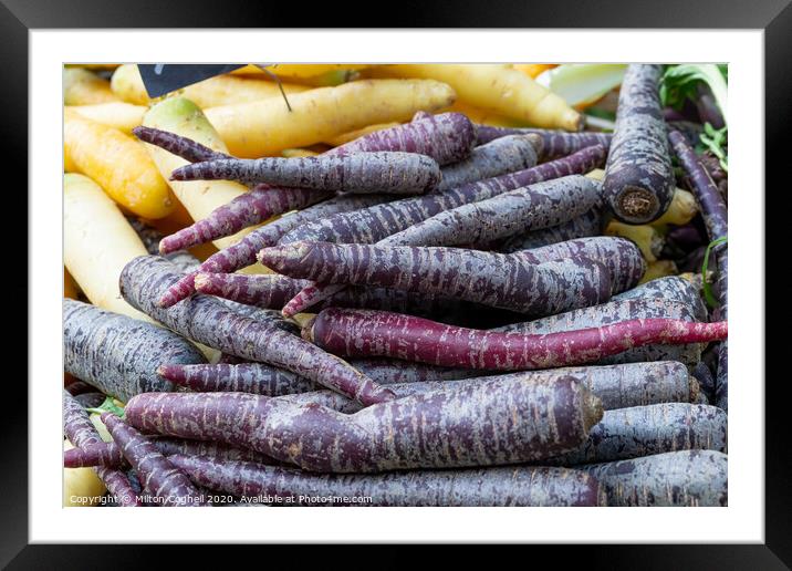 Pile of purple carrots on a market stall. Framed Mounted Print by Milton Cogheil