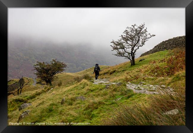 Walker in the Lake District foggy landscape in the Framed Print by Milton Cogheil