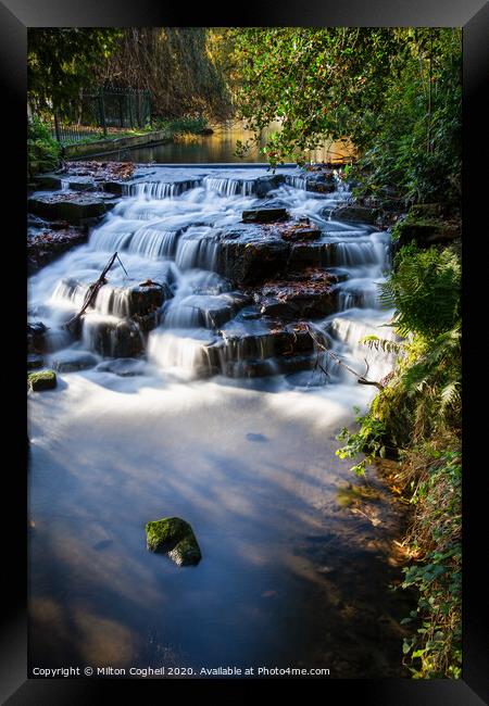 Carshalton Ponds Waterfall - Portrait Framed Print by Milton Cogheil