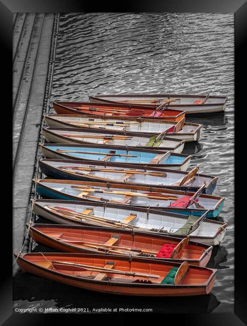 Row boats in a row Framed Print by Milton Cogheil