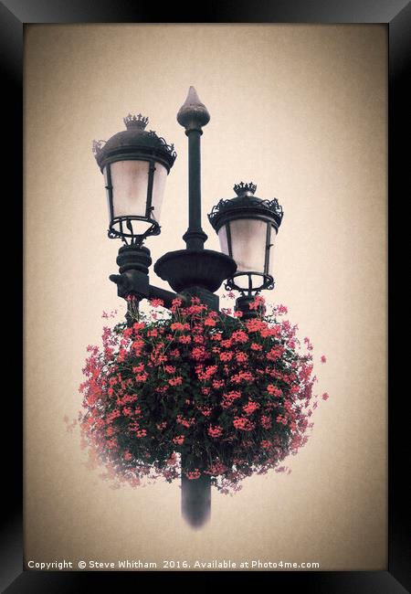 Geraniums on lamp post - Antique look. Framed Print by Steve Whitham