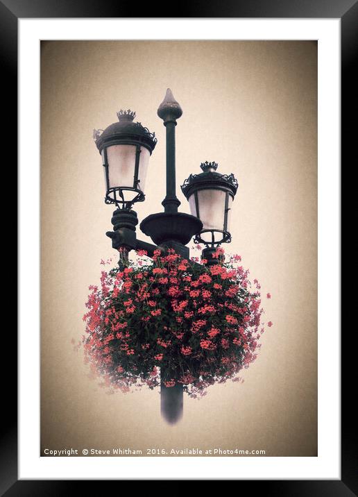 Geraniums on lamp post - Antique look. Framed Mounted Print by Steve Whitham