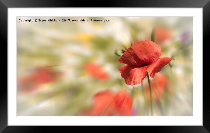 Poppy against absract background Framed Mounted Print by Steve Whitham