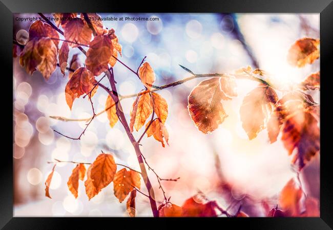 Autumn Bokeh. Framed Print by Steve Whitham