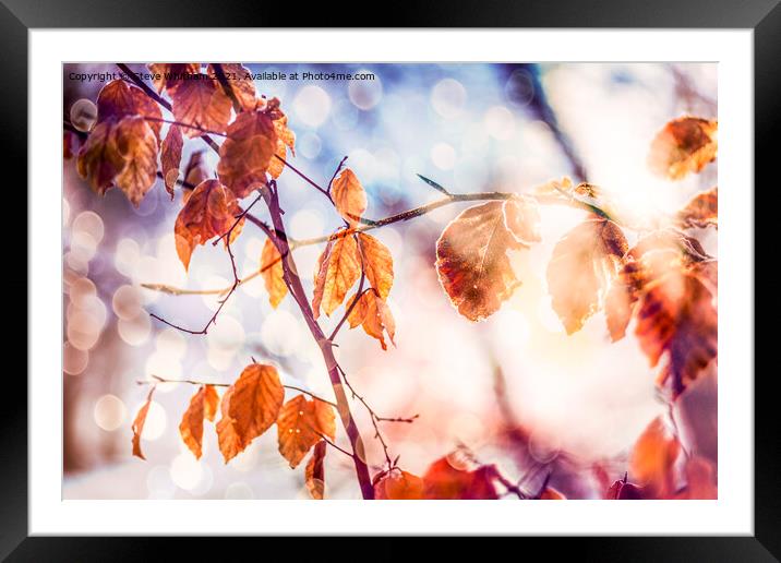Autumn Bokeh. Framed Mounted Print by Steve Whitham