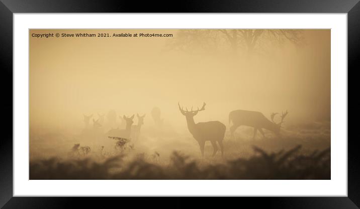  Early Light of Autumn Panorama. Framed Mounted Print by Steve Whitham