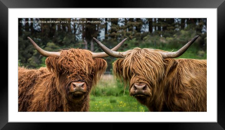Smile for the camera. Framed Mounted Print by Steve Whitham