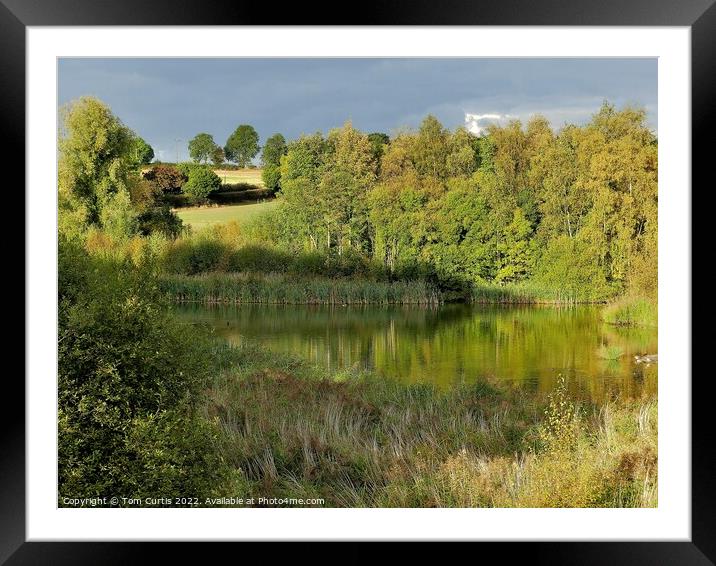 Carlton Marsh South Yorkshire Framed Mounted Print by Tom Curtis