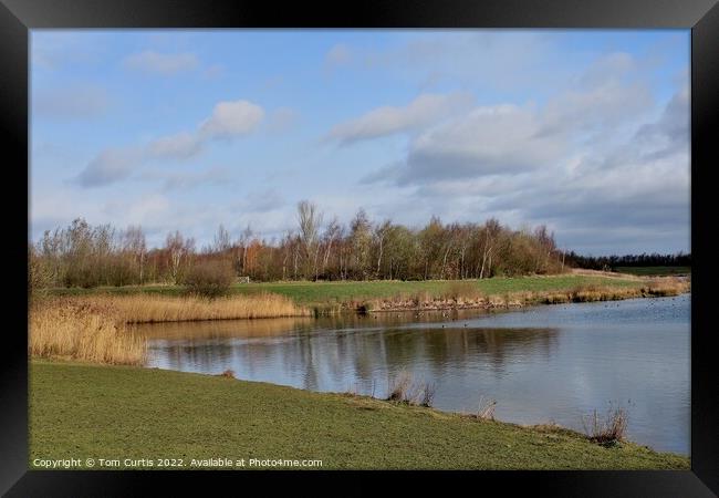 Anglers Country Park Wakefield Framed Print by Tom Curtis