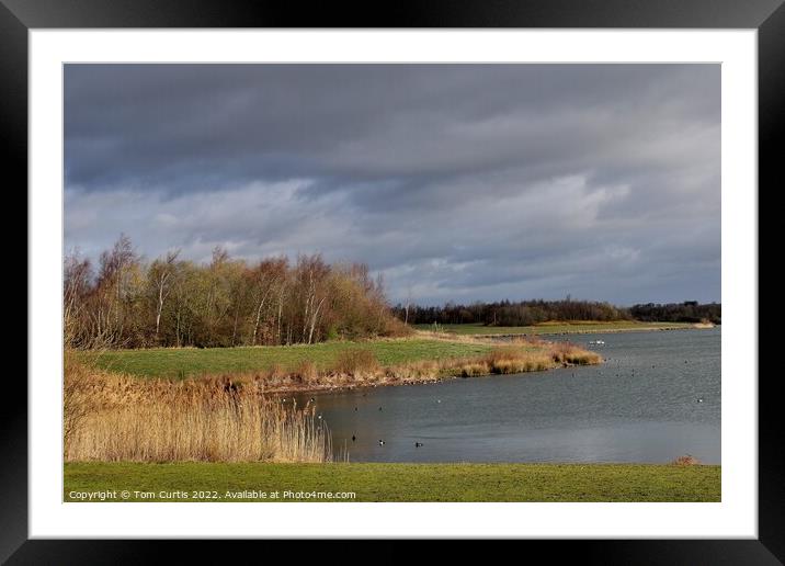 Anglers Country Park Wakefield Framed Mounted Print by Tom Curtis