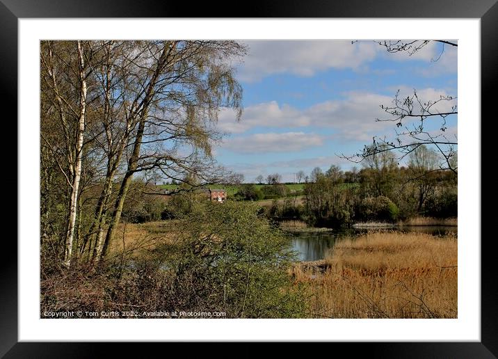 Carlton Marsh Nature Reserve South Yorkshire Framed Mounted Print by Tom Curtis