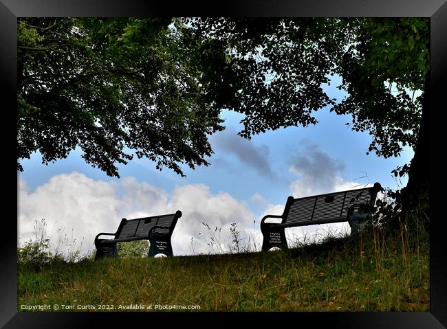 Benches on top of a hill Framed Print by Tom Curtis