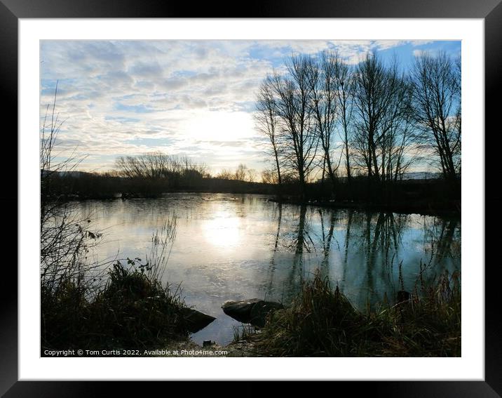 Winter reflection in pond Framed Mounted Print by Tom Curtis