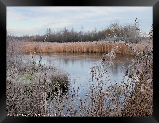 Frozen Lake on a Frosty morning Framed Print by Tom Curtis