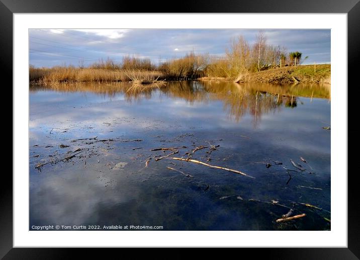 Outdoor waterside Framed Mounted Print by Tom Curtis