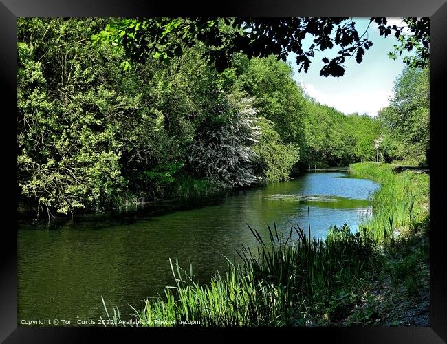 Barnsley Canal South Yorkshire Framed Print by Tom Curtis