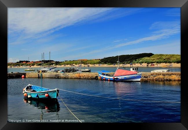 Harbour Beadnell Bay Framed Print by Tom Curtis