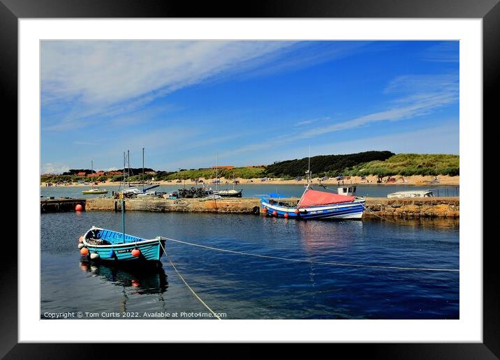 Harbour Beadnell Bay Framed Mounted Print by Tom Curtis