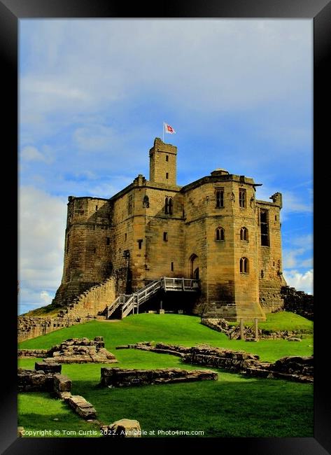 Warkworth Castle Northumberland Framed Print by Tom Curtis