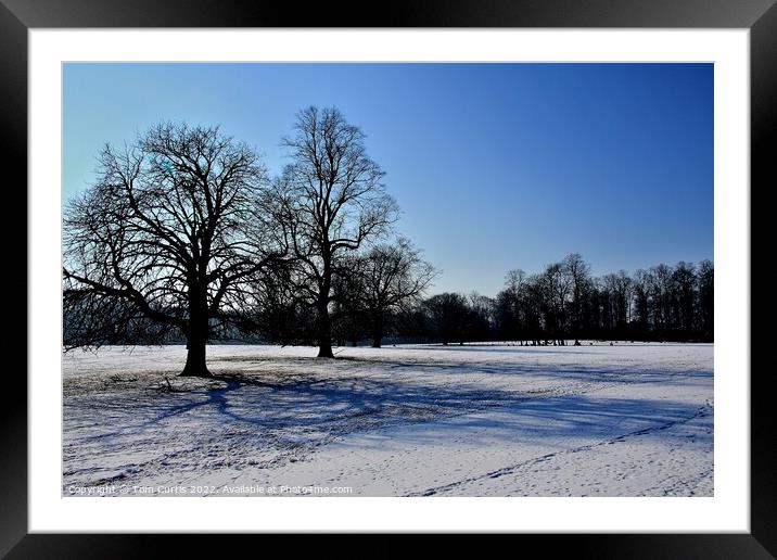 Winter at  Brodsworth South Yorkshire Framed Mounted Print by Tom Curtis