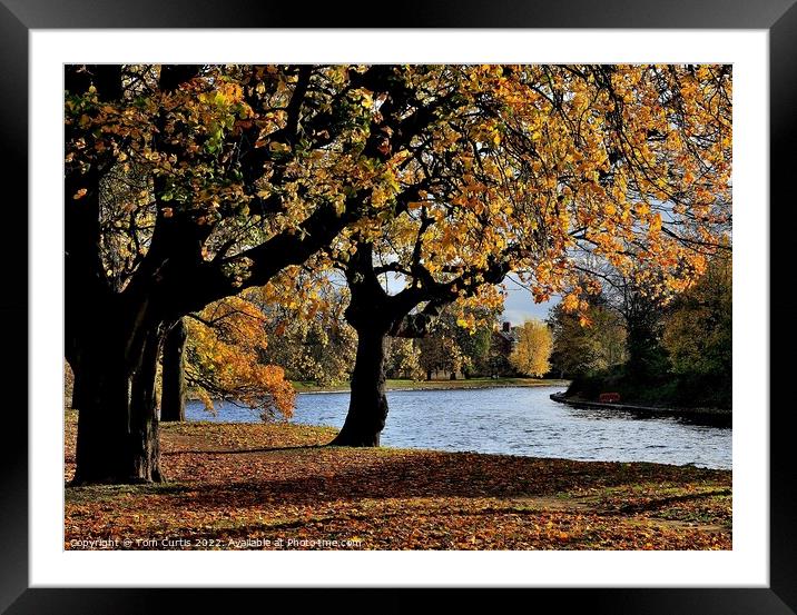 Autumn River Ouse York Framed Mounted Print by Tom Curtis