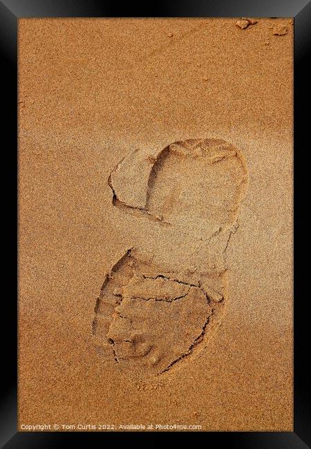 Footprint in the Sand Framed Print by Tom Curtis