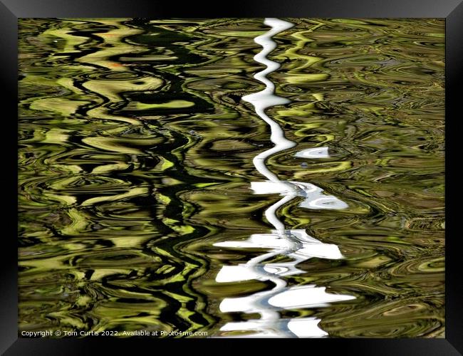 Reflection in the Water Framed Print by Tom Curtis