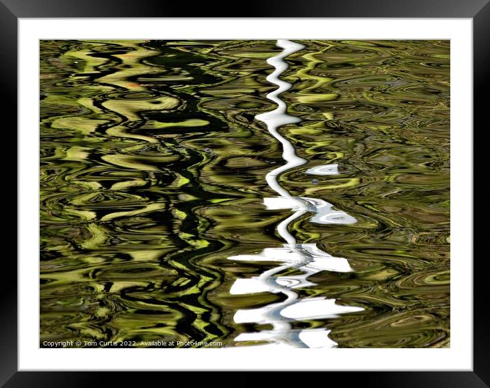 Reflection in the Water Framed Mounted Print by Tom Curtis