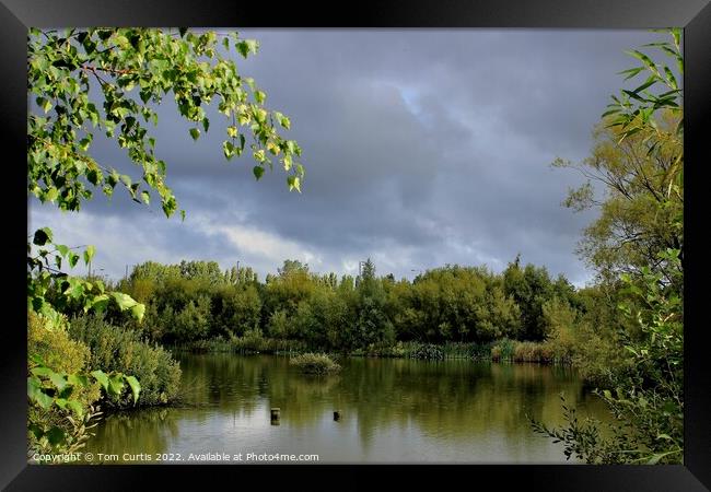 Ferrymoor Flash Nature Reserve Framed Print by Tom Curtis