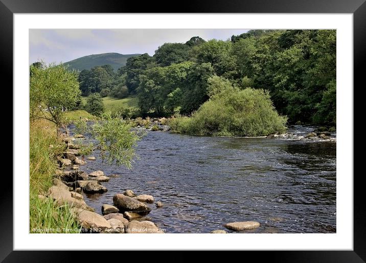 River Wharfe Bolton Abbey  Framed Mounted Print by Tom Curtis