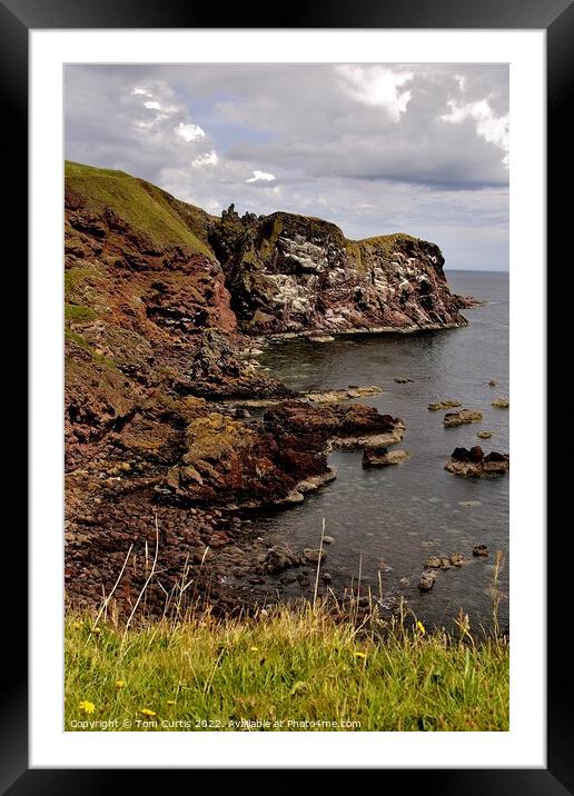 St. Abb's Head Berwickshire Framed Mounted Print by Tom Curtis