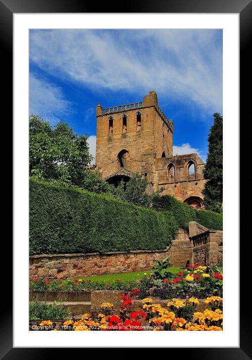 Jedburgh Abbey Scottish Borders Framed Mounted Print by Tom Curtis