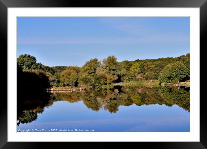 Dearne Valley Park Barnsley Framed Mounted Print by Tom Curtis